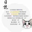 黑龙江2015年艺考生必看 
