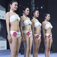 AFIA亚洲职业模特资质等级认证—2015年新面孔认证培训计划