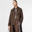 newface广告 x Burberry，王涵online