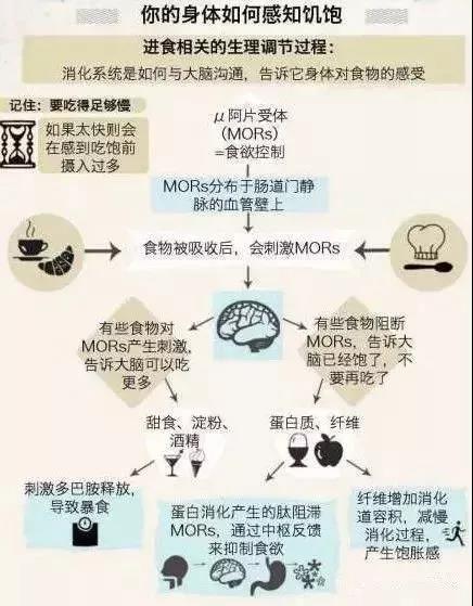 模特